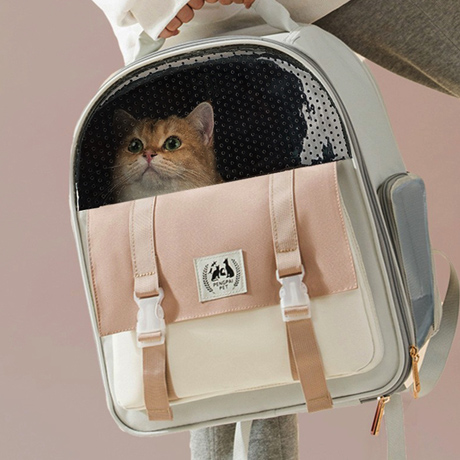 キャリーケース・バッグ