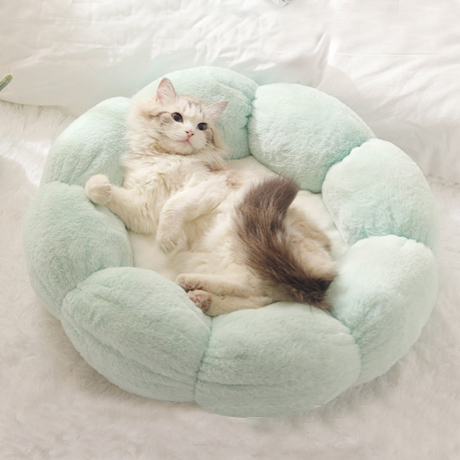 クッション・マット