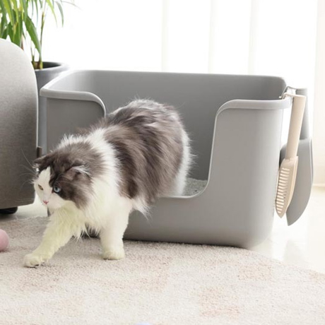 衛生・健康用品