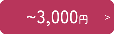 予算3000円