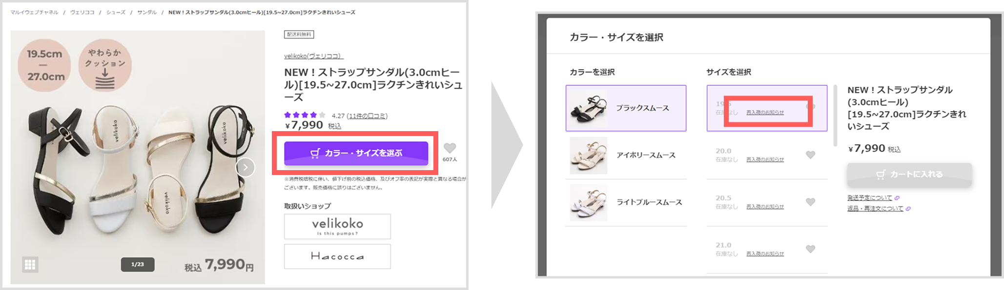 画像・図