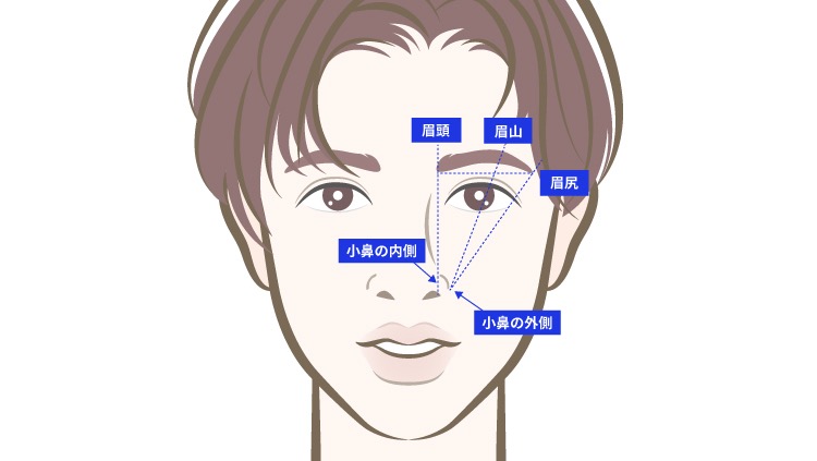顔の骨格とバランスを説明したイラスト