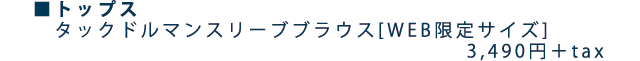 タックドルマンスリーブブラウス