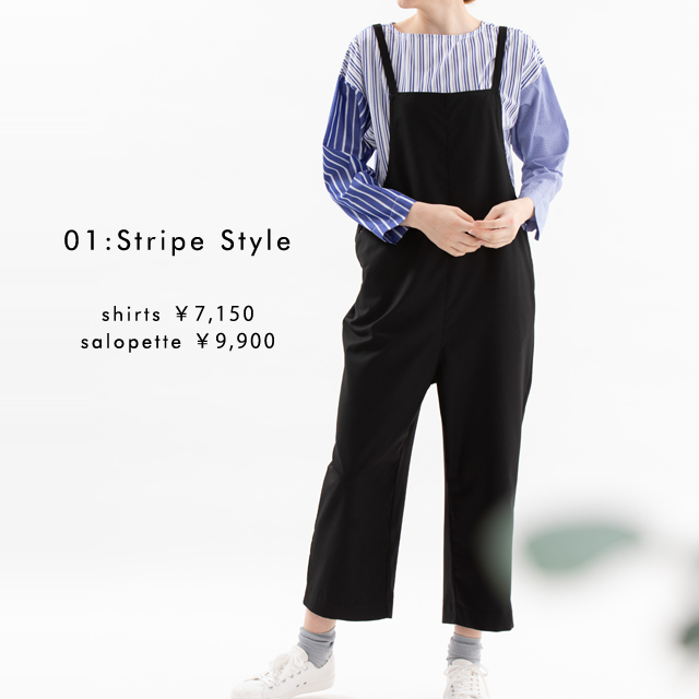 01：Stripe Style