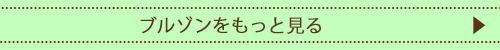 ブルゾンをもっと見る