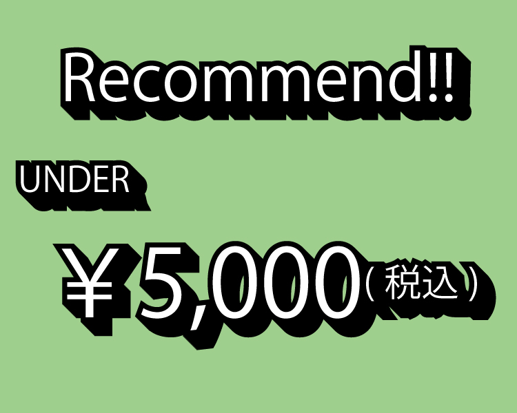 オーロラ　5000円以下