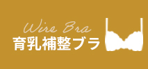 育乳補整ブラ