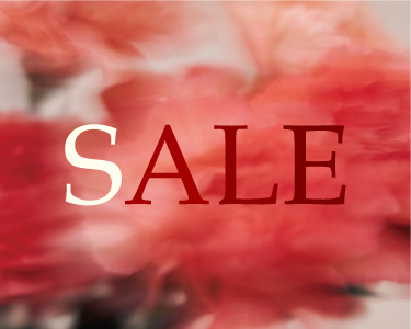 フィント(FINT) 　レディース　SALE