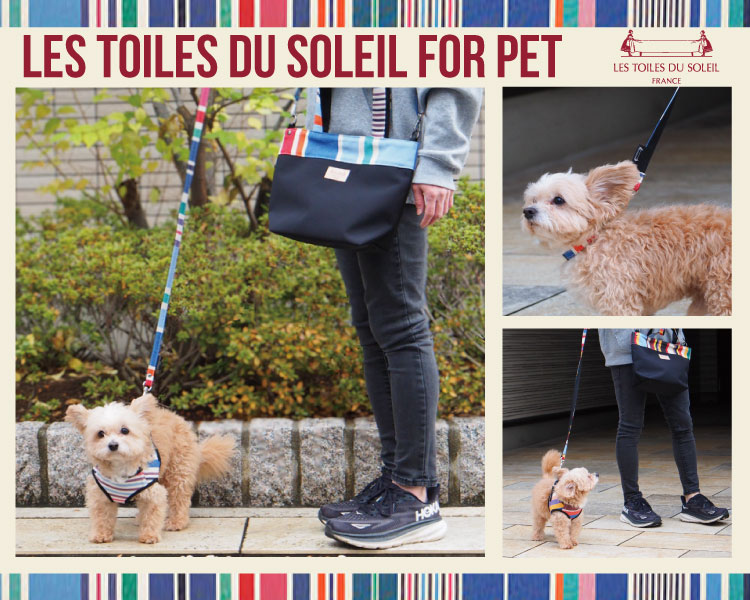 レ・トワール・デュ・ソレイユ(LES TOILES DU SOLEIL)　ペット