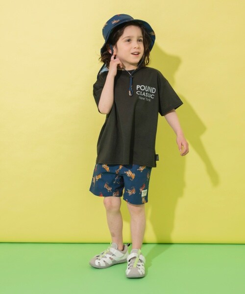 ブリーズのブリーズ