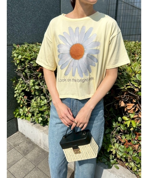 フィフスのフィフス