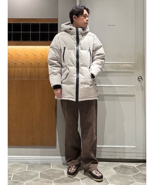 ナノユニバースのナノユニバース