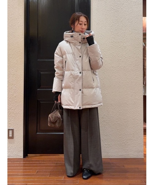 ナノユニバースのナノユニバース