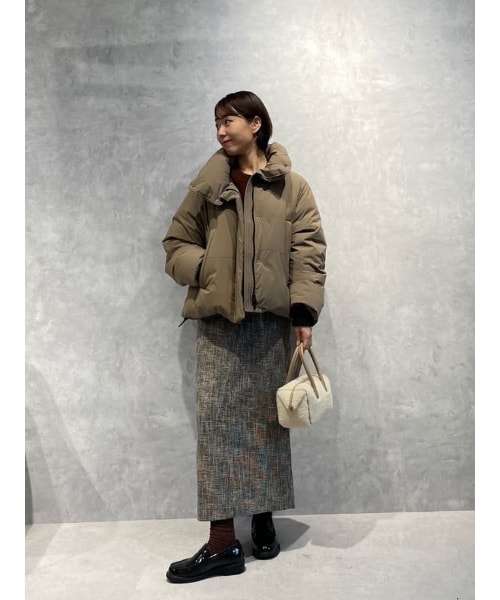 ナノユニバースのナノユニバース