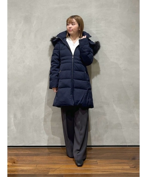 ナノユニバースのナノユニバース