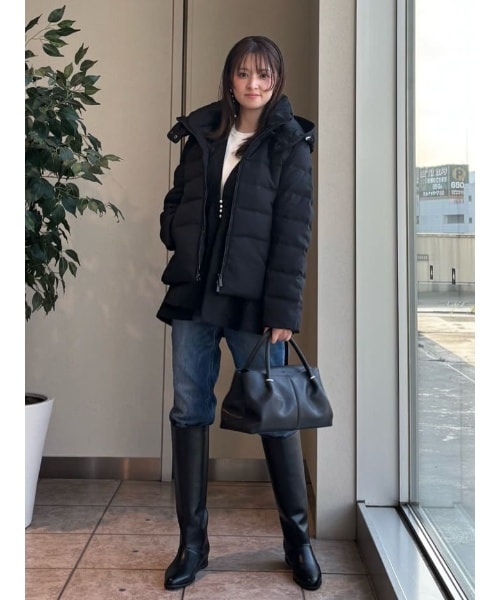 ナノユニバースのナノユニバース