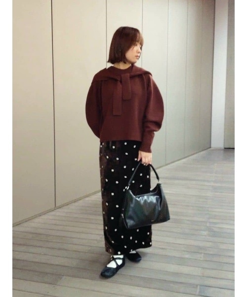 ナノユニバースのナノユニバース