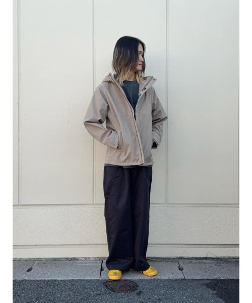 ナノユニバースのナノユニバース