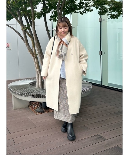 ナノユニバースのナノユニバース