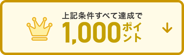 上記条件すべて達成で1,000ポイント