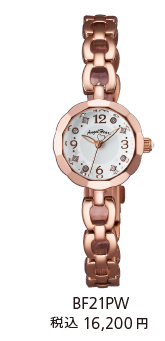 BF21PW 税込16,200円