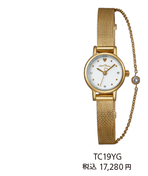 TC19YG 税込17,280円