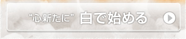 心新たに　白で始める