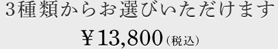 3種類からお選びいただけます　&yen;13,800