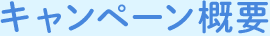 キャンペーン概要