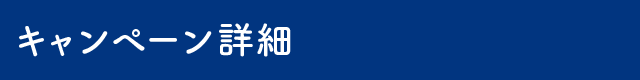 キャンペーン概要