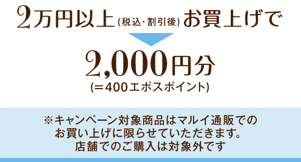 2万円以上(税込・割引額)お買上げで2,000円分(=400ポイントプレゼント)