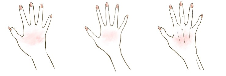 ④手の特徴